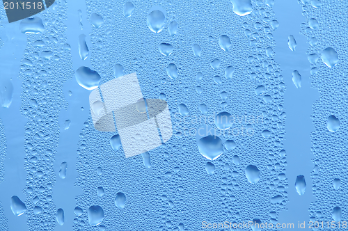 Image of Water drops