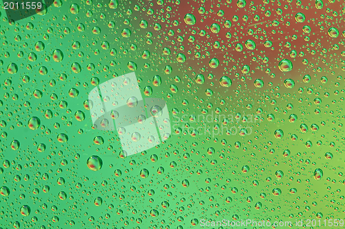 Image of Water drops