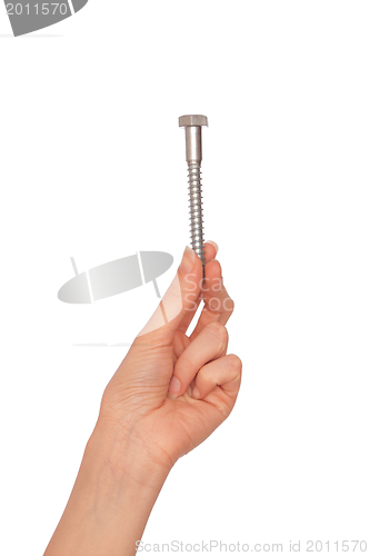 Image of big screw