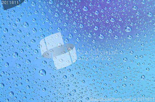 Image of Water drops