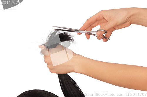 Image of hairdresser