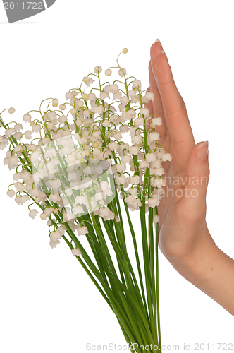 Image of lily of the valley