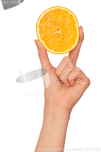 Image of Orange