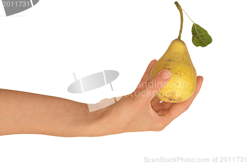 Image of yellow pear