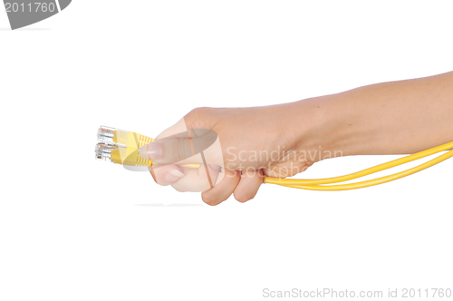 Image of LAN cords