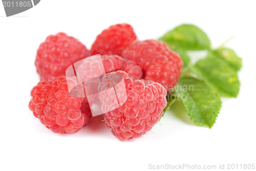 Image of fresh raspberry