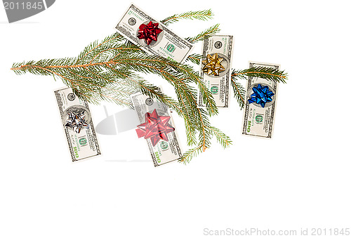 Image of Dollars on fir tree