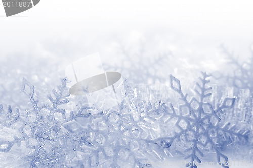 Image of Snowflakes background