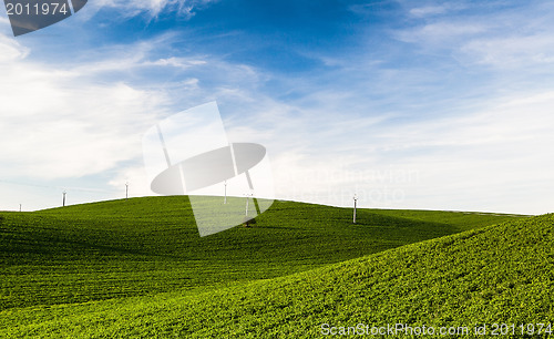 Image of Green hills