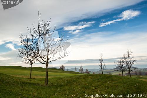 Image of Golf course at sunrise