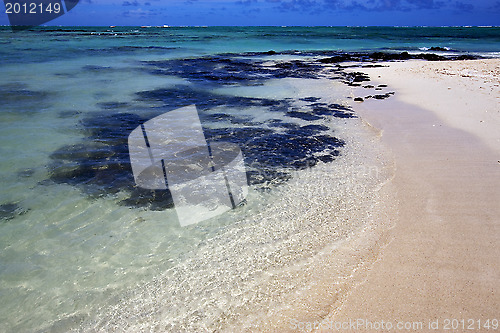 Image of ile du cerfs