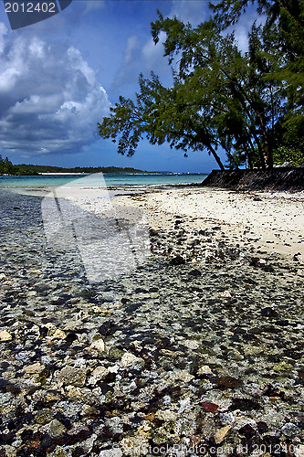 Image of ile du cerfs