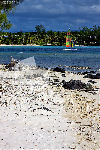 Image of rock and stone in deus cocos