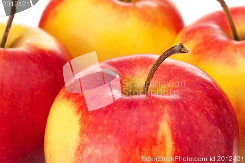 Image of Fresh apple