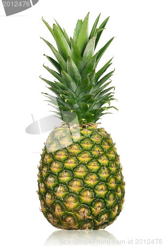 Image of Pineapple