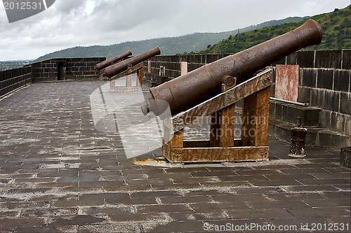 Image of the fortification and cannons 