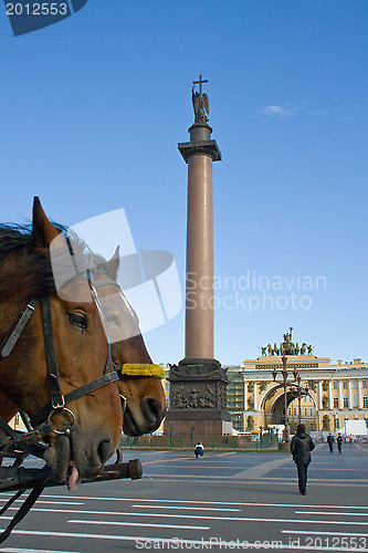 Image of Horses on Palace Square and Alexander Column. St. Petersburg. Russia.