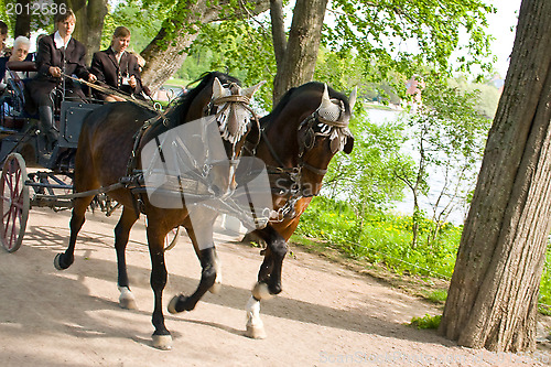 Image of Walk through the park on horseback.