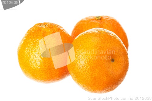 Image of Mandarin fruits