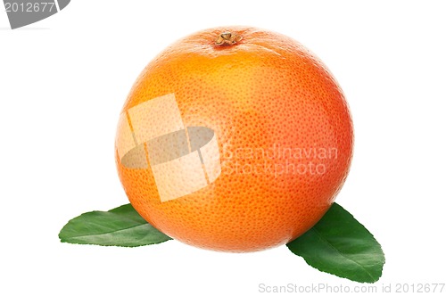 Image of Ripe grapefruit