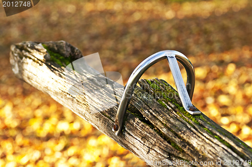 Image of old see-saw in autumnal light