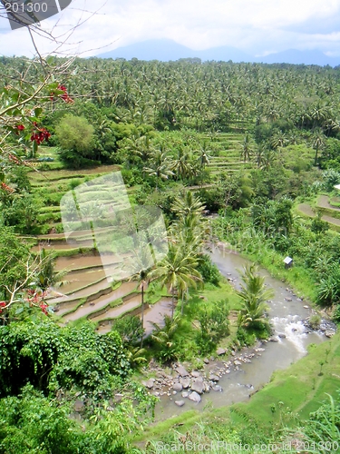 Image of Bali