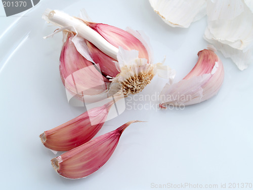 Image of Garlic Bulb