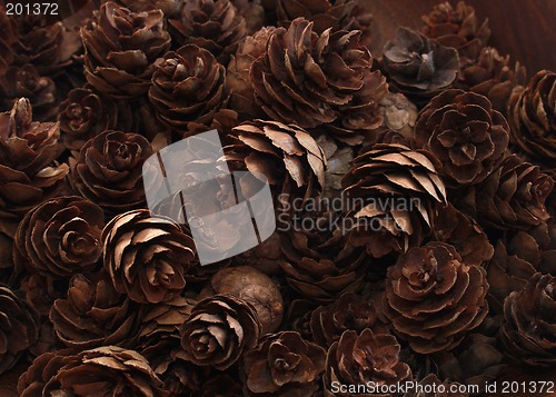 Image of pine cones
