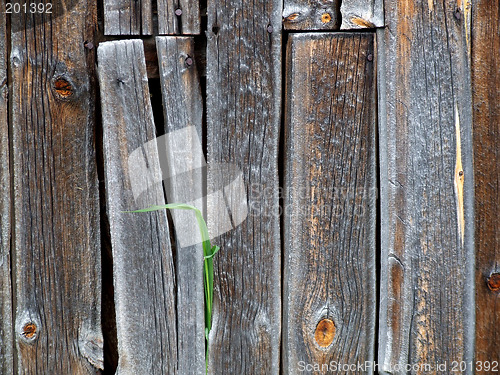 Image of Wooden wall background