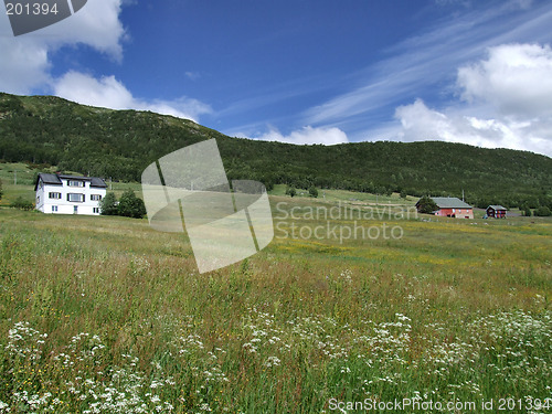 Image of Two houses on a meadow