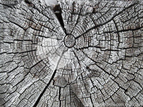 Image of Old and cracked oak beam