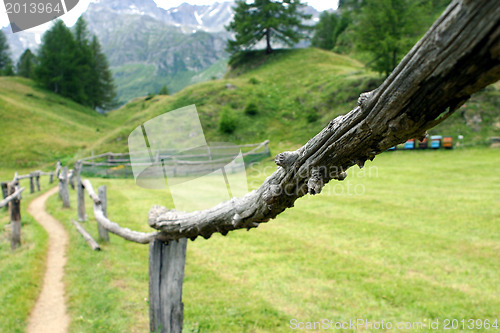 Image of Wooden fence closeup