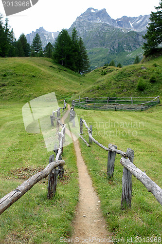 Image of Wooden fence