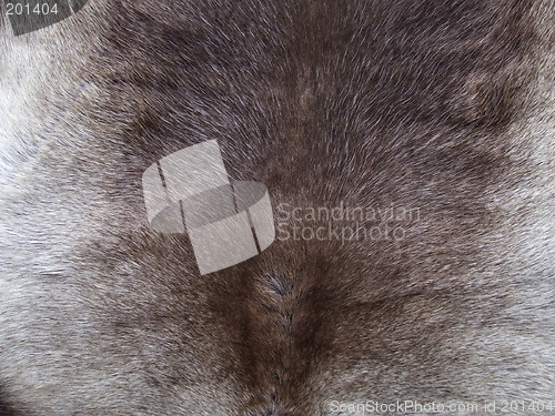 Image of Reindeer fur at a souvenir shop