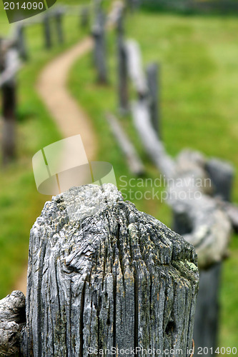 Image of Wooden fence pole