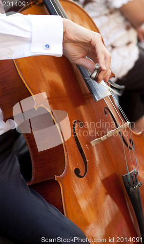 Image of young viola player