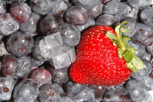 Image of blue berries straw berries