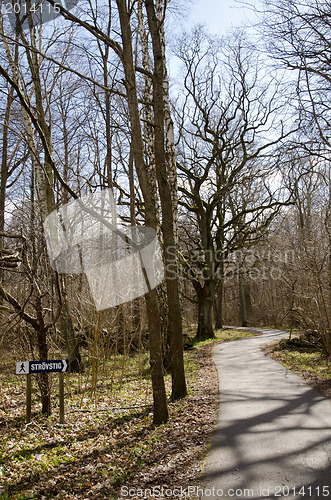 Image of Footpath in springtime