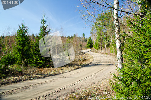 Image of Country road in forest