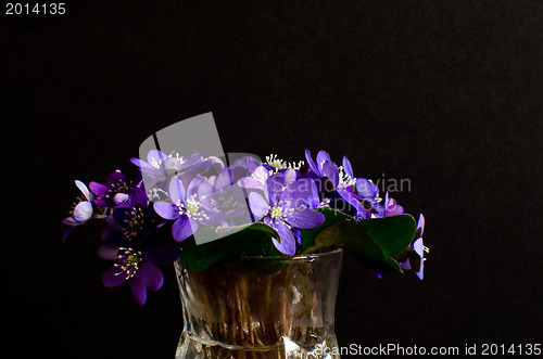 Image of Bouquet of Blue anemones