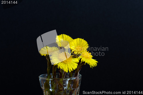 Image of Spring flowers in a vase