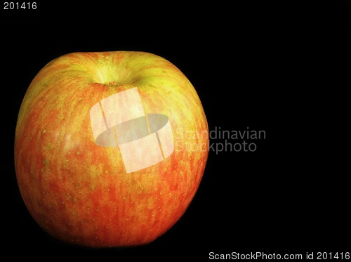 Image of Apples