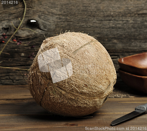 Image of Coconut