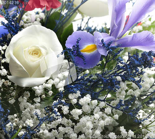Image of Flowers