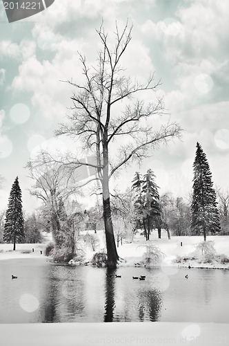 Image of Winter Landscape