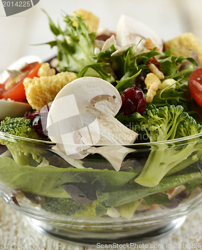 Image of Fresh Salad Bowl