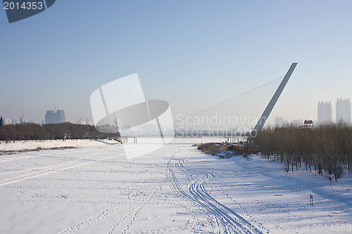 Image of cable-stayed bridge in the city of Harbin.