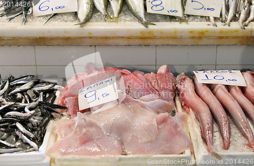 Image of Fish at Aegina market