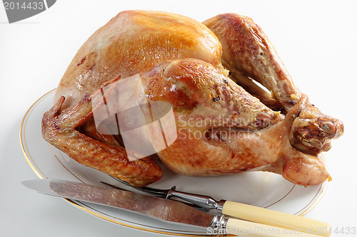 Image of Roasted turkey for carving