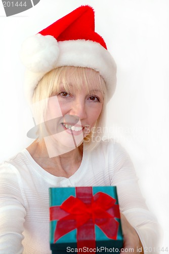 Image of Mrs Santa